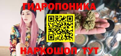 гашик Рязань