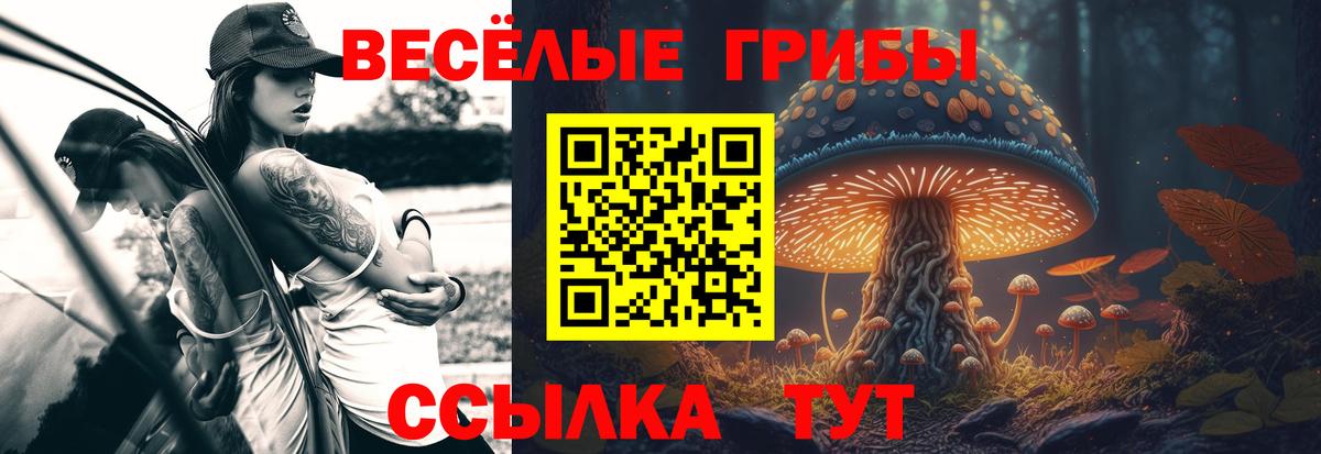 Галлюциногенные грибы мицелий Удомля